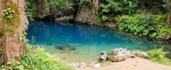 Elephant-Cave-in-Phong-Nha_1